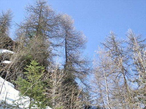 Col d&#039;Arves