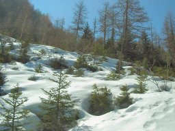 Col d&#039;Arves