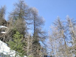 Col d&#039;Arves