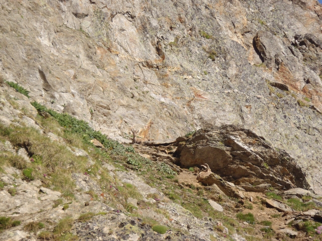 L&#039;Aiguille des Glaciers