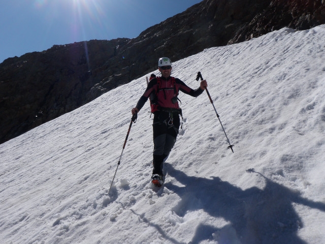 L'Aiguille des Glaciers