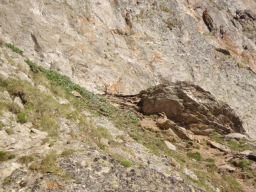 L&#039;Aiguille des Glaciers