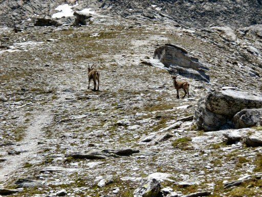  La Pointe de l&#039;Echelle