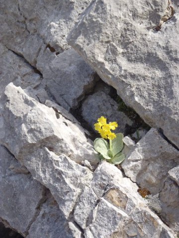 Arête du Roc des Boeufs