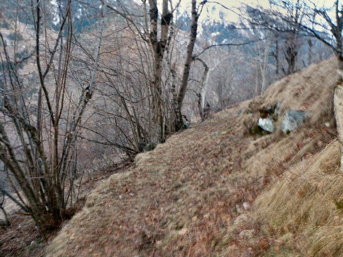 P3170305.jpg - Sentier ramenant au lieu-dit le Vachet  au Premier Villard