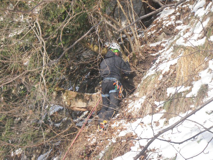 P2130063.JPG - Et fait son relais sur un arbre