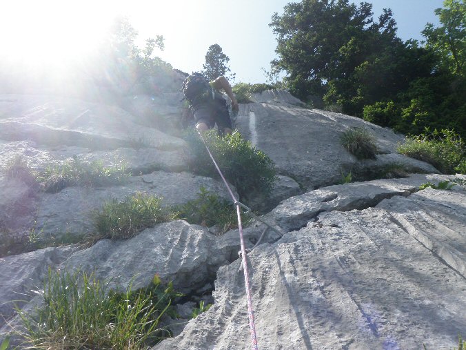 P7160437.JPG - De belle canelures