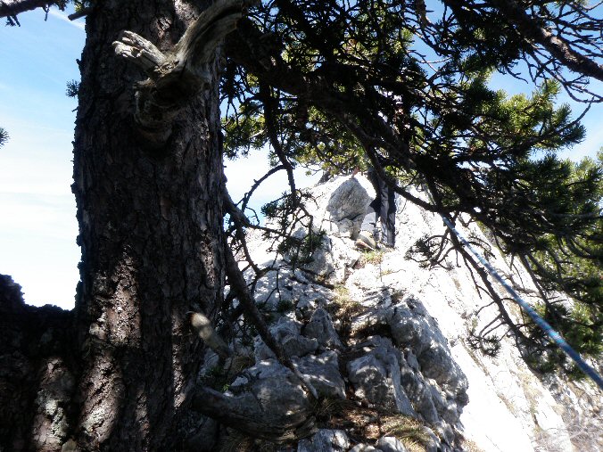 P4070021.jpg - Pin sur l'arte