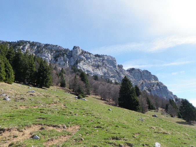 P4070067b.jpg - L'arte vue de la ferme